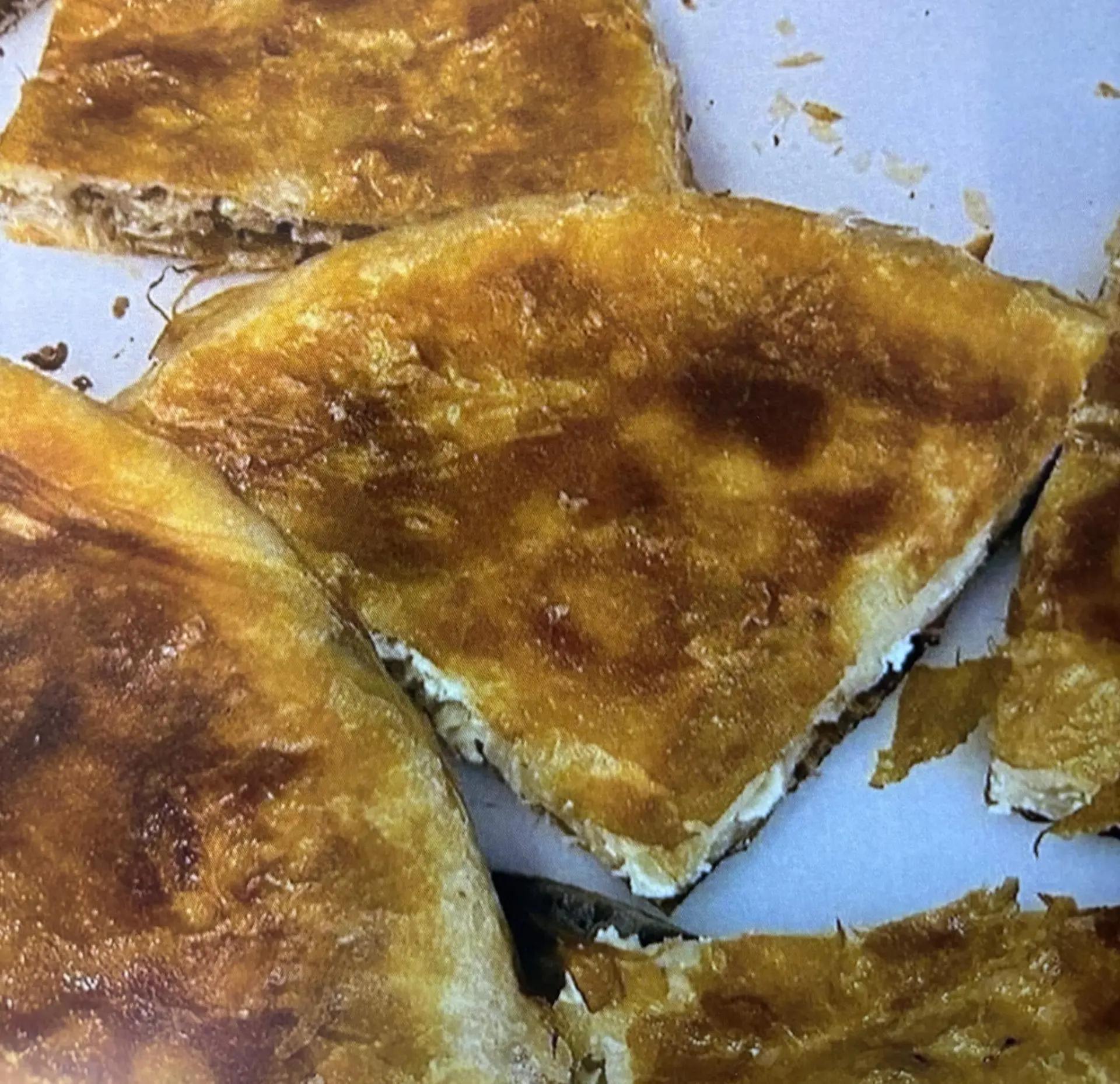 Hele Burek — Hele Burek (Kaas)